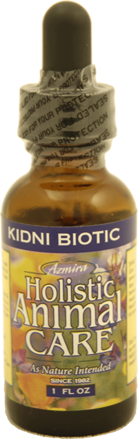 kidnibiotic