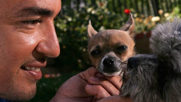 cesar_millan_getty_600_0